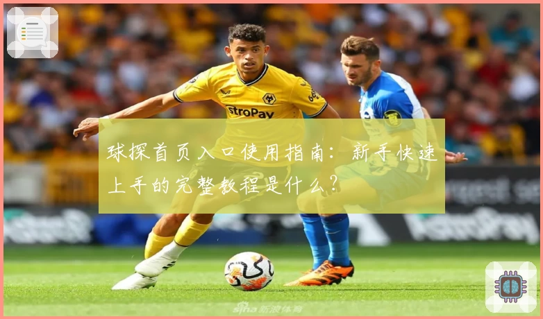 球探首页入口使用指南：新手快速上手的完整教程是什么？