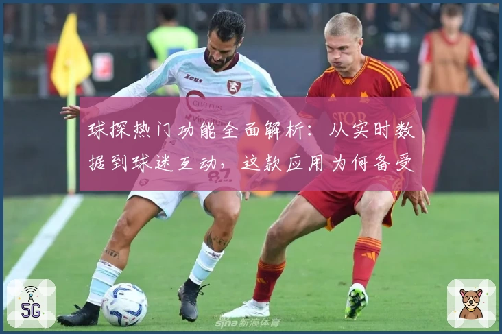 球探热门功能全面解析：从实时数据到球迷互动，这款应用为何备受欢迎